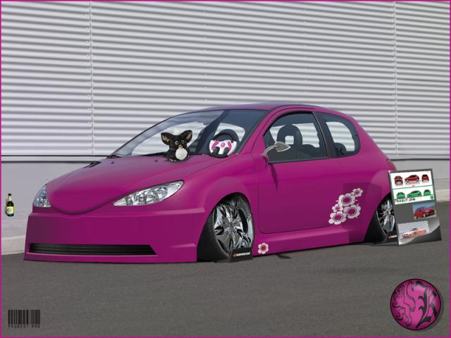 Peugeot 206 von MTK85 auf chopstars.net Der Fake