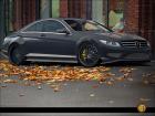 Mercedes-Benz CL 600 auf chopstars.net 40
